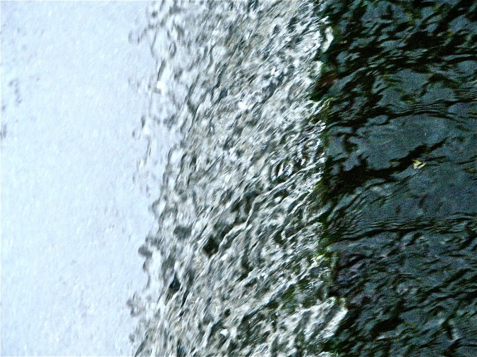 Tricolor i svarthvitt